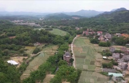 廣東陽春：挖掘產(chǎn)業(yè)特色資源 走出因地制宜致富路