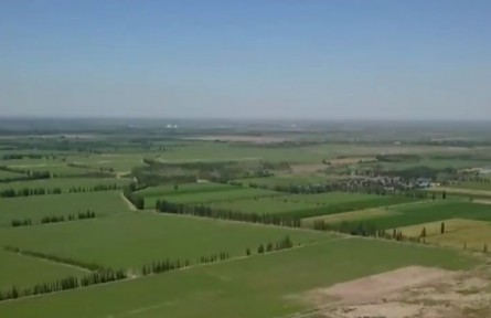 新疆：高標準穩(wěn)糧優(yōu)糧 推動糧食生產(chǎn)能力可持續(xù)增長