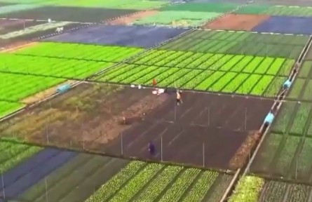 農(nóng)業(yè)農(nóng)村部：2021年二季度農(nóng)產(chǎn)品抽檢總體合格率為97.8%