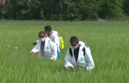 農(nóng)業(yè)農(nóng)村部：多措并舉防災(zāi)減災(zāi) 確保秋糧豐收到手