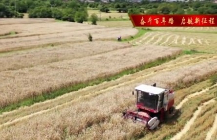 西藏那曲：現(xiàn)代化機械助民增收致富