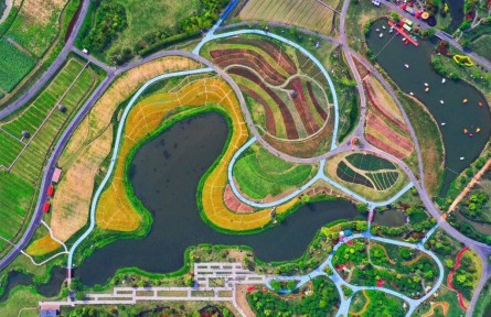 第一觀察|如何促進(jìn)共同富裕，總書記這樣部署