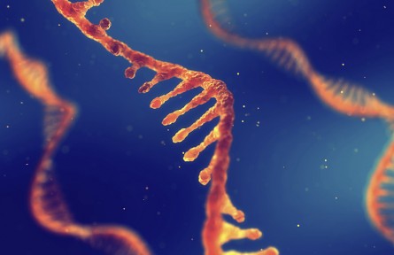 科技名詞 | 核酸