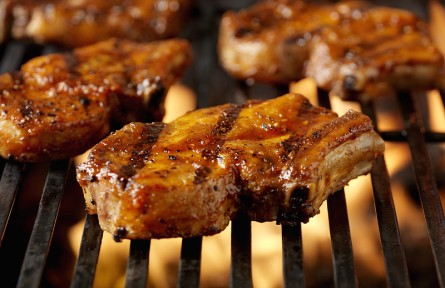 科技名詞 | 脂解