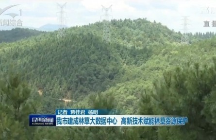 云南昆明建成林草大數據中心 高新技術賦能林草資源保護