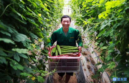 山東省東營(yíng)市：鄉(xiāng)村振興的“東營(yíng)密碼”