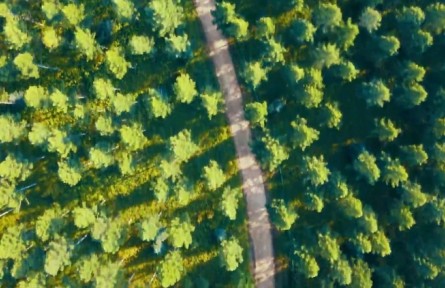 河北：塞罕壩一分鐘