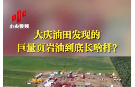 大慶油田發(fā)現(xiàn)的巨量頁巖油到底長啥樣？