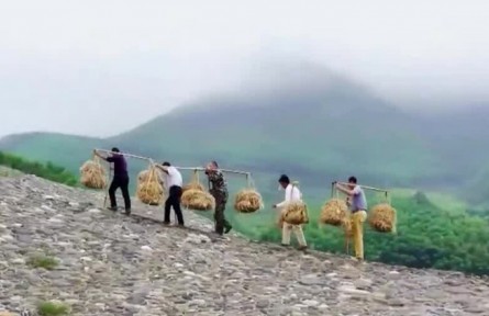 【在習(xí)近平新時(shí)代中國(guó)特色社會(huì)主義思想指引下】全面小康 一個(gè)民族也不能少