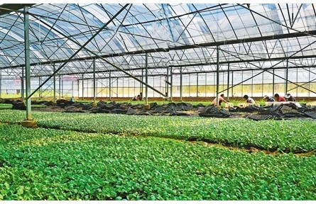 南陽重耕——踐行習近平經濟思想調研記