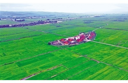 吉林問糧——踐行習近平經濟思想調研記