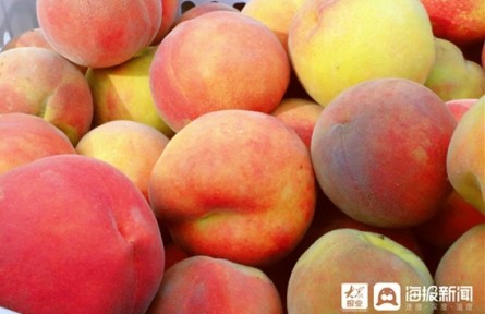 山東省東營(yíng)市廣饒縣李鵲鎮(zhèn)：農(nóng)文旅融合惠民生 打造鄉(xiāng)村振興新樣板