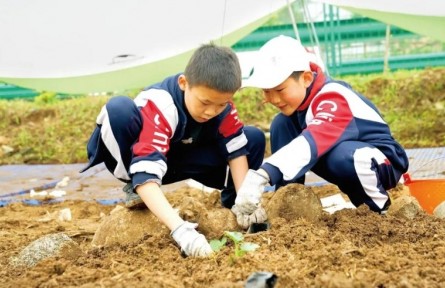稻麥不分、牛羊不辨 勞動意識不容有“缺”