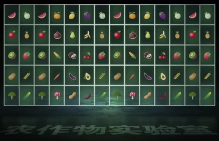 農業(yè)科技 一瞬千里 鄉(xiāng)村振興 日新月異