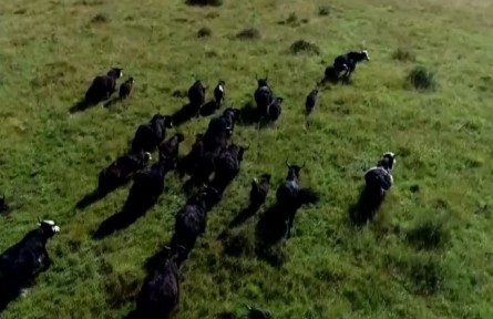 四川省紅原縣：依托產(chǎn)業(yè)實(shí)現(xiàn)脫貧 領(lǐng)略發(fā)展新風(fēng)貌