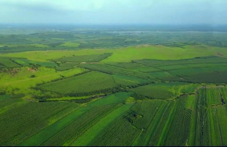 我國重要的糧食產地，奮斗50年才有的北大倉，為何退耕還荒不種了