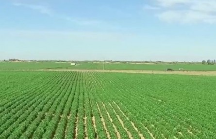 陜西榆林：壯大果蔬畜牧業(yè) 推動特色農(nóng)業(yè)高質(zhì)量發(fā)展