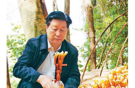 《山海情》蘑菇專家原型、“最美教師”林占熺：心心念念的，永遠(yuǎn)是菌草