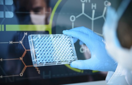 科技名詞 | 苯甲酸