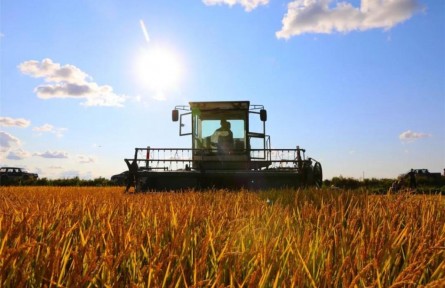 北大荒集團(tuán)各農(nóng)（牧）場(chǎng)做好“四個(gè)到位”高質(zhì)量備戰(zhàn)秋收