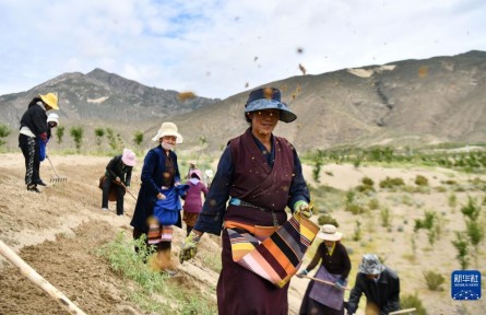 這條劃在版圖上的紅線，守護(hù)著美麗中國(guó)