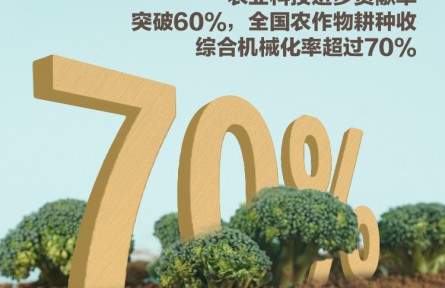 中國(guó)產(chǎn)糧能力有多強(qiáng)？這些數(shù)據(jù)告訴你答案