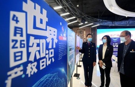 知識(shí)產(chǎn)權(quán)強(qiáng)國(guó) intellectual property rights (IPR) power