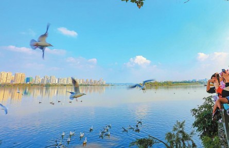 四川：“鳥口普查”怎么查？