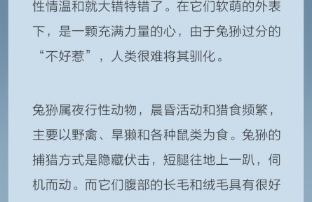 點祁連山國家公園的貓科精靈