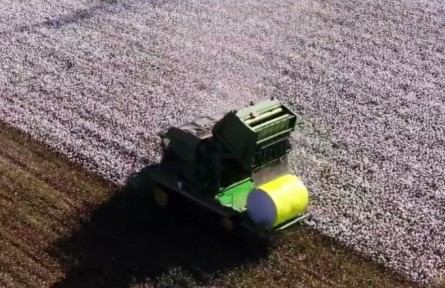 超壯觀！新疆棉花原來(lái)是這么采的