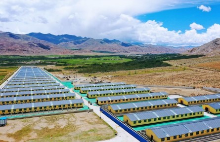 西藏山南隆子縣：藏香豬養(yǎng)殖助農(nóng)增收致富