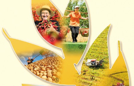 特色產(chǎn)業(yè)，助力中國農(nóng)民增收