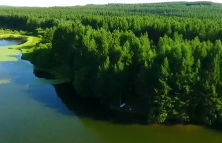 河北：向綠深行！塞罕壩這四年！