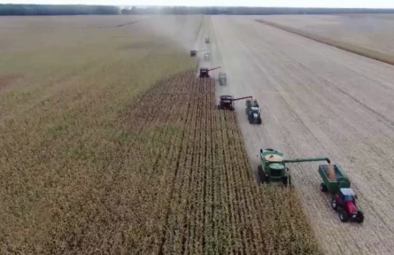 有力農(nóng)業(yè)振興政策加快推進農(nóng)業(yè)科技現(xiàn)代化