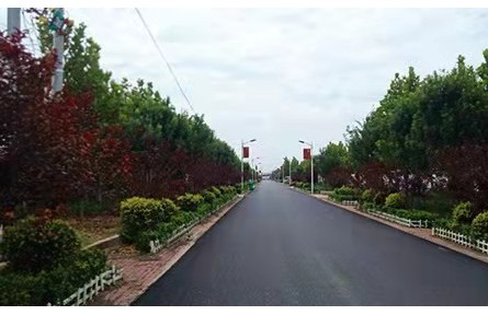 山東廣饒花官鎮(zhèn)：黨建引領強產(chǎn)業(yè) 鄉(xiāng)村振興增動力