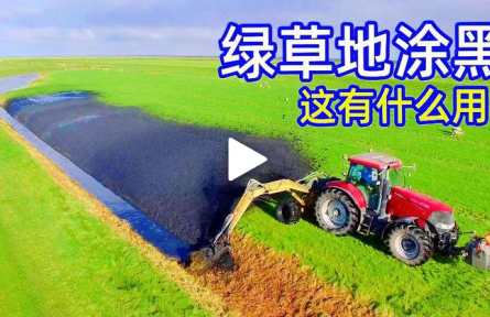 不可思議的挖泥機(jī)，為什么荷蘭人要把草地“涂黑”