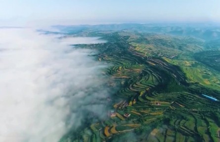 促進(jìn)生物多樣性保護(hù) 共建地球生命共同體