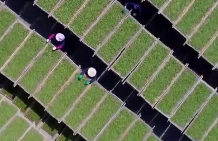 “十四五”開局之年 鄉(xiāng)村產(chǎn)業(yè)加快發(fā)展