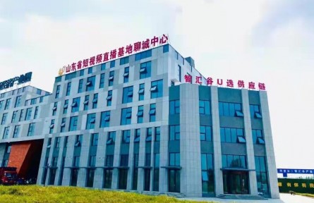 山東省聊城高新區(qū)：“電商＋產(chǎn)業(yè)基地＋農(nóng)戶”模式助力鄉(xiāng)村振興