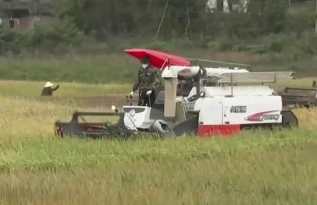 豐收中國·四川劍閣：打造高標準農(nóng)田 多項措施提升糧食產(chǎn)量