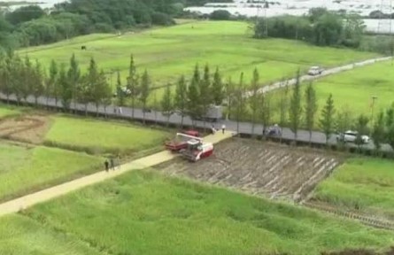 豐收中國(guó)·浙江浦江：稻作全程機(jī)械化 農(nóng)業(yè)生產(chǎn)越來越高效