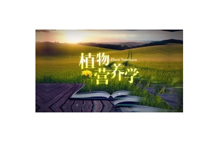 植物營養(yǎng)學與農(nóng)業(yè)生產(chǎn)（系列講座視頻）