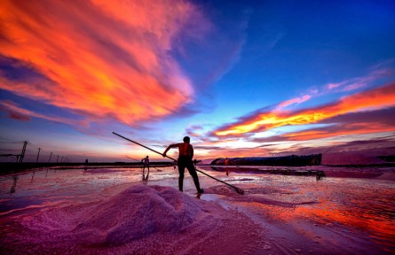 第十屆全國農(nóng)民攝影大展作品：繁忙的鹽場