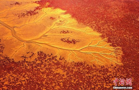 山東東營：黃河入?？谧囗憽包S藍(lán)交響樂”