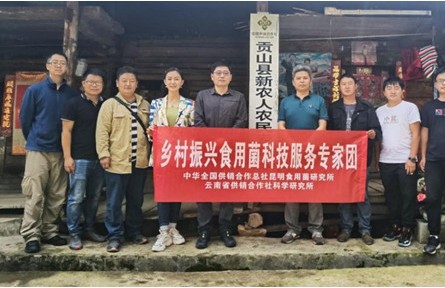 “鄉(xiāng)村振興食用菌科技服務專家團”赴怒江州開展科技服務