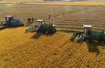 【“十三五”成就巡禮】農(nóng)民收入持續(xù)較快增長