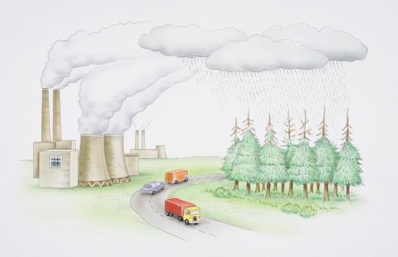 科技名詞 | 酸雨