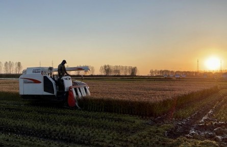 全國優(yōu)秀共產(chǎn)黨員聶守軍：每天“泡”稻田 從1.4萬個可能中挑出一粒種子