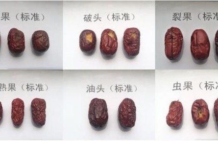 93、成果名稱:紅棗質量檢驗分級與標準化技術服務