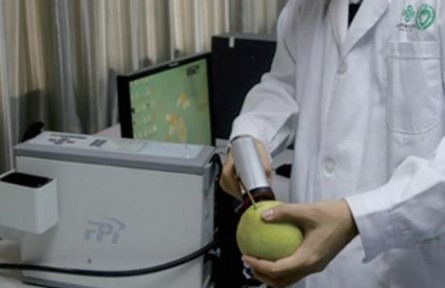 88、成果名稱：水果內在品質實時、無損分析技術